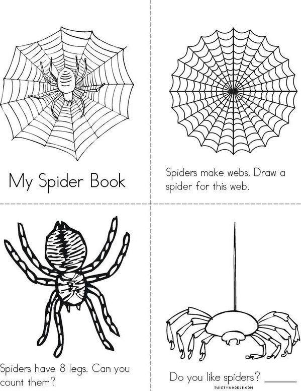 My spider book