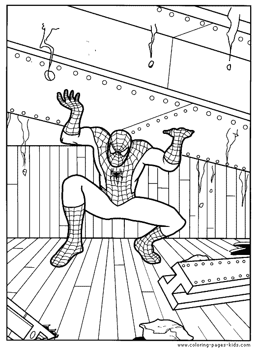 Spider