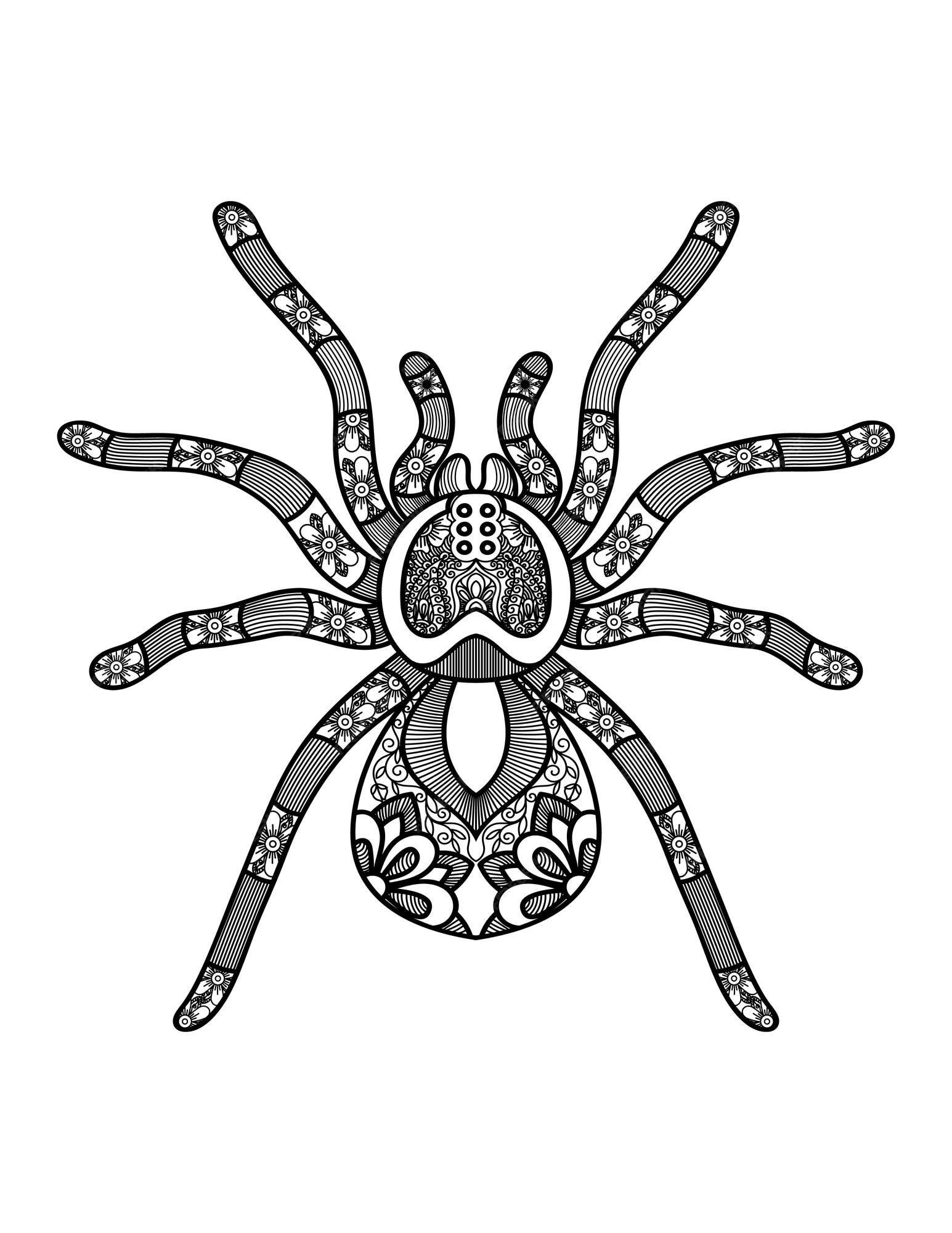 Premium vector spider mandala coloring pages for adults and kids coloring book
