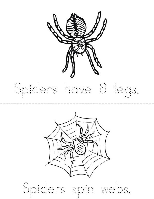 My spider book
