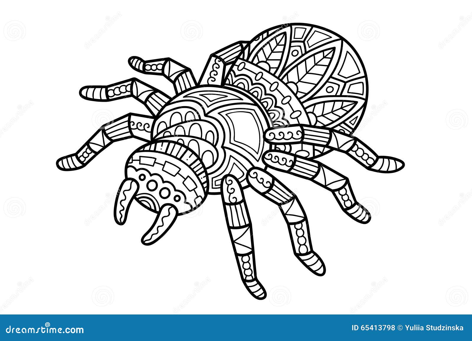 Coloring spider stock illustrations â coloring spider stock illustrations vectors clipart