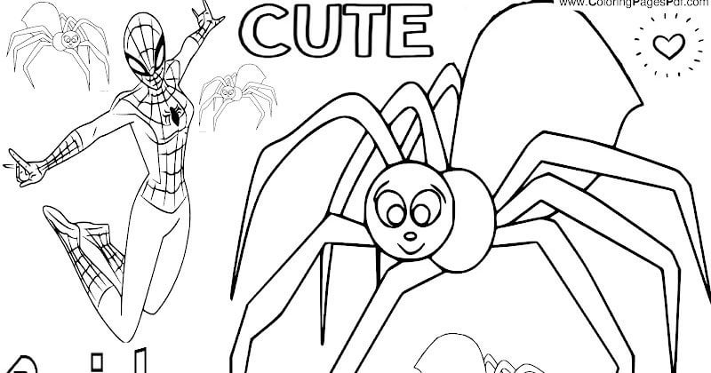 Spider coloring pages for girls rcoloringpagespdf