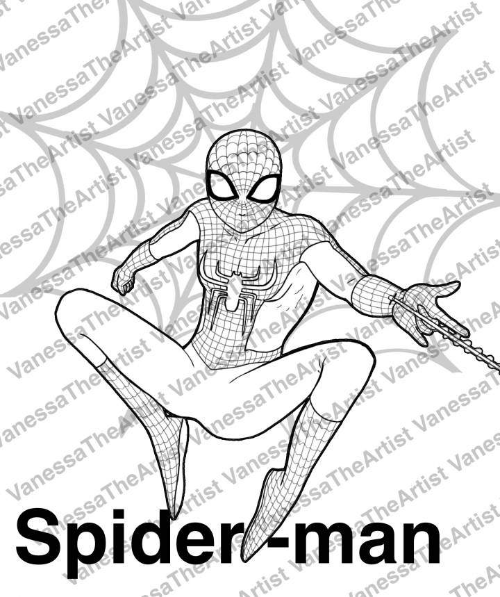 Spider