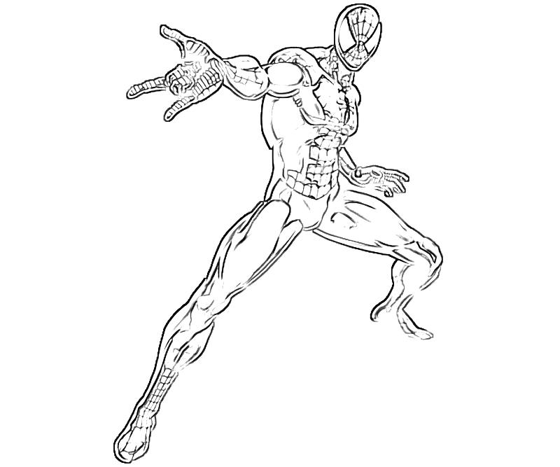 The amazing spider