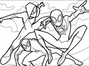 Spider