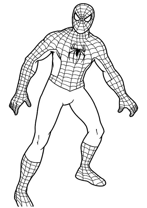 Coloring page spiderman drawing superman coloring pages spiderman coloring