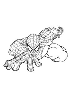 Spiderman coloring pages âï free coloring pages