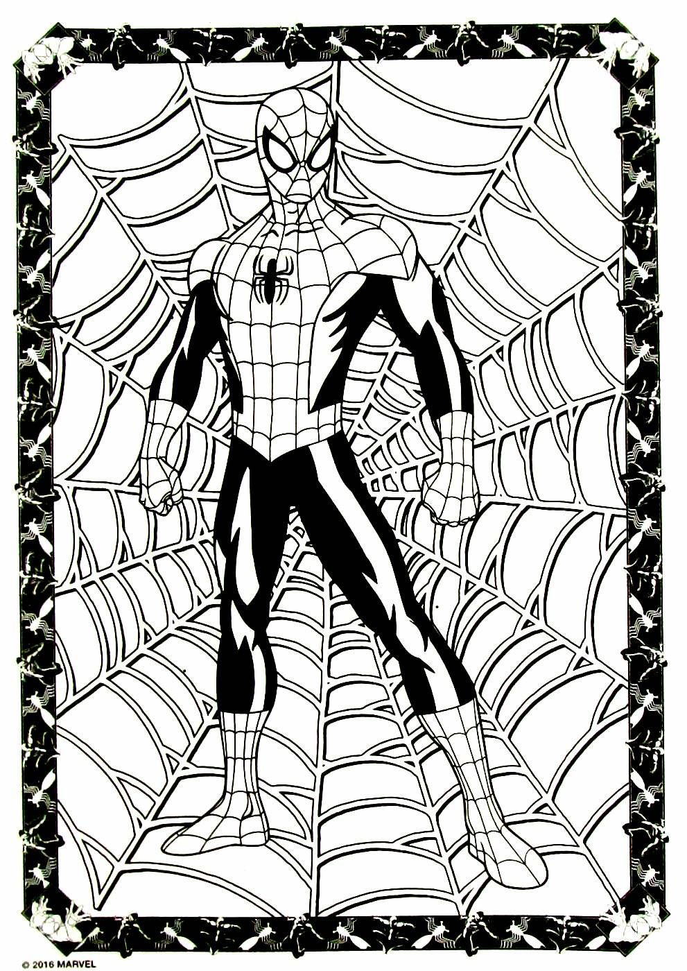 Spiderman coloring book page spiderman coloring coloring pages for kids coloring pages for boys