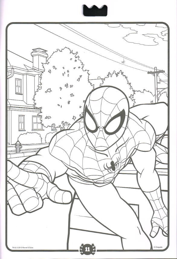Ultimate spider