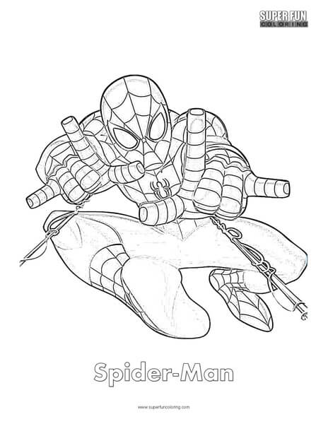 Spider
