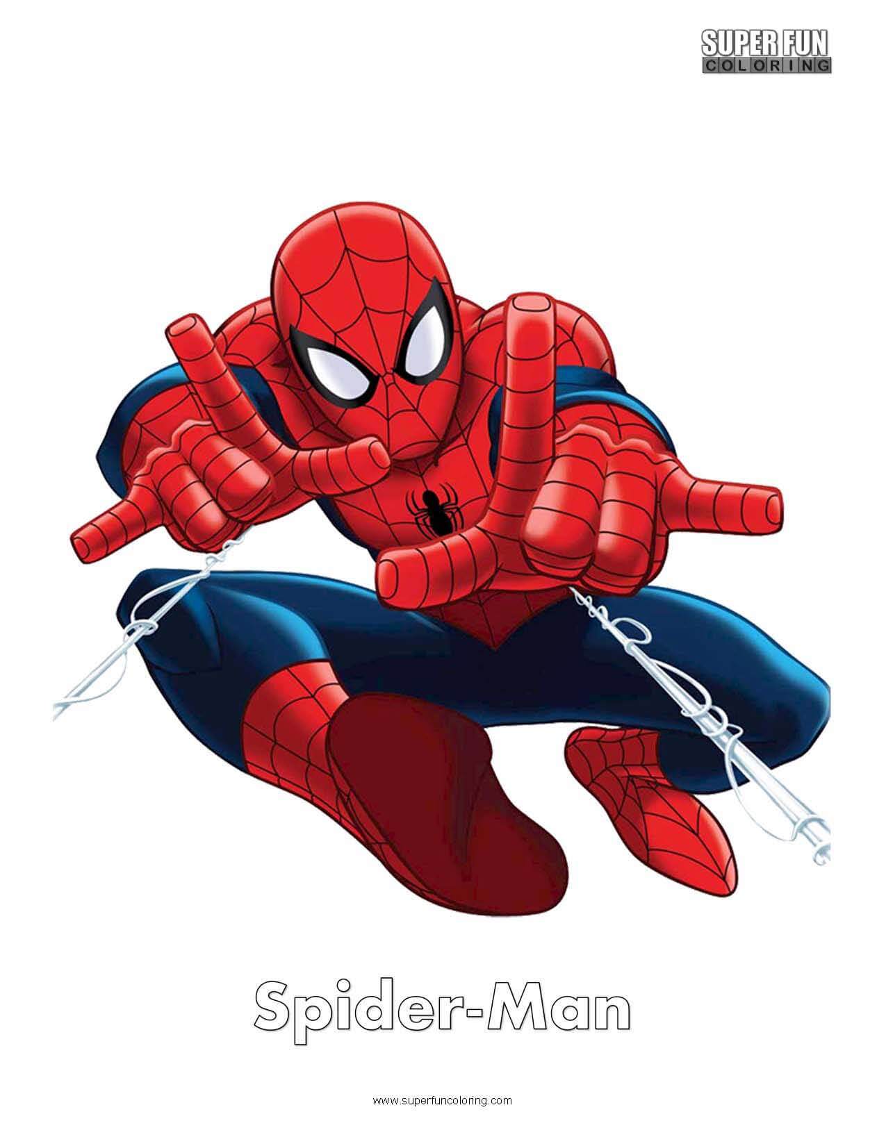 Spider