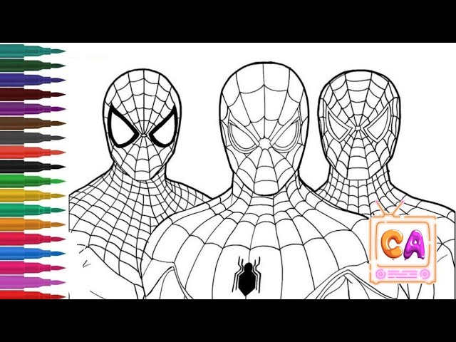 Spider