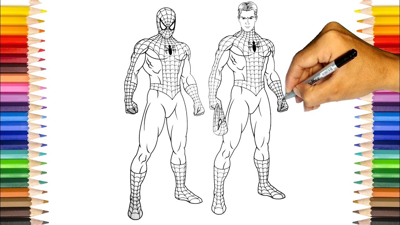 Spider