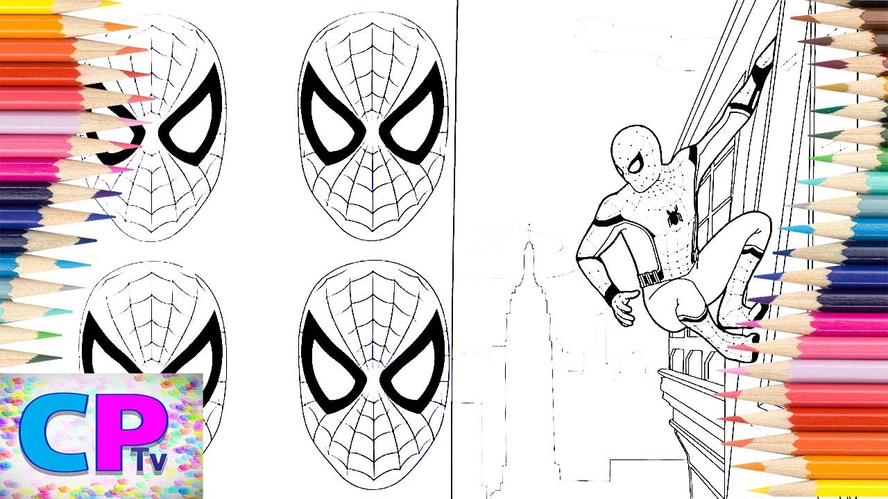 Spider