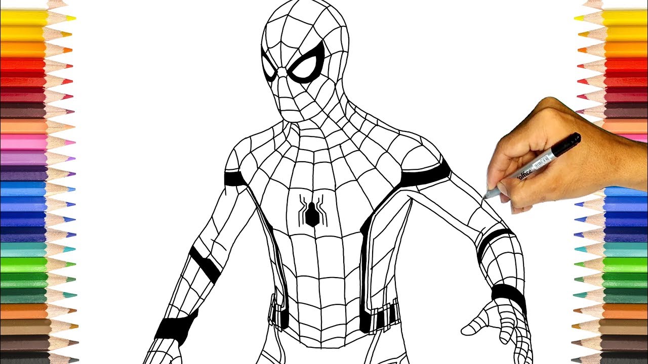 Spider