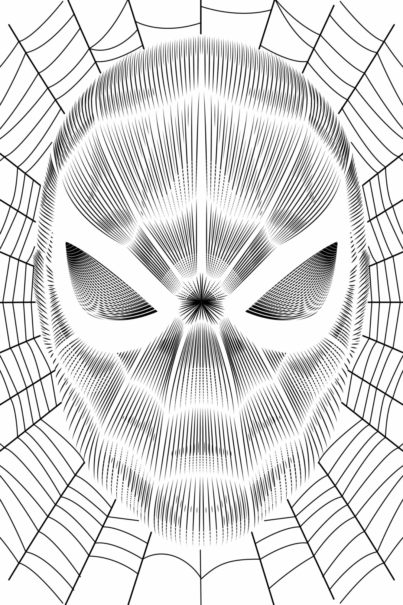 Spider