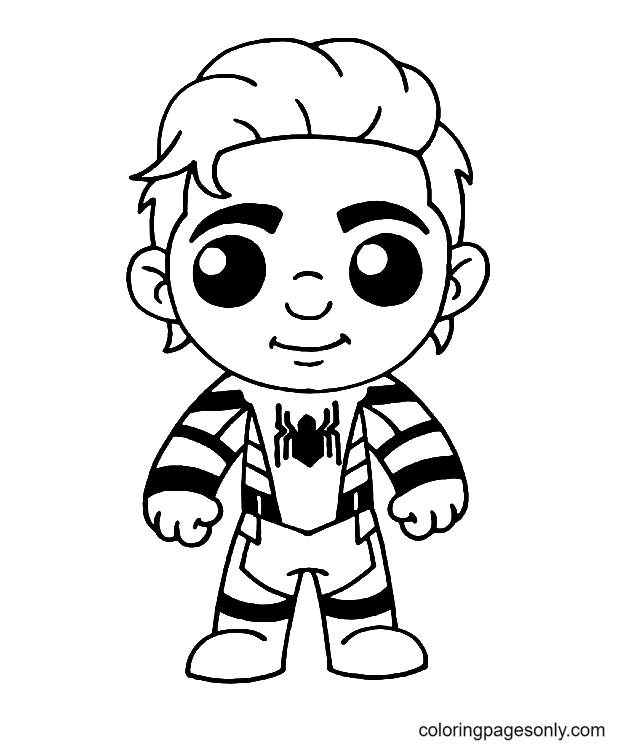 Spider