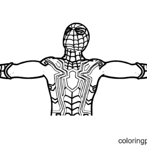 Spider