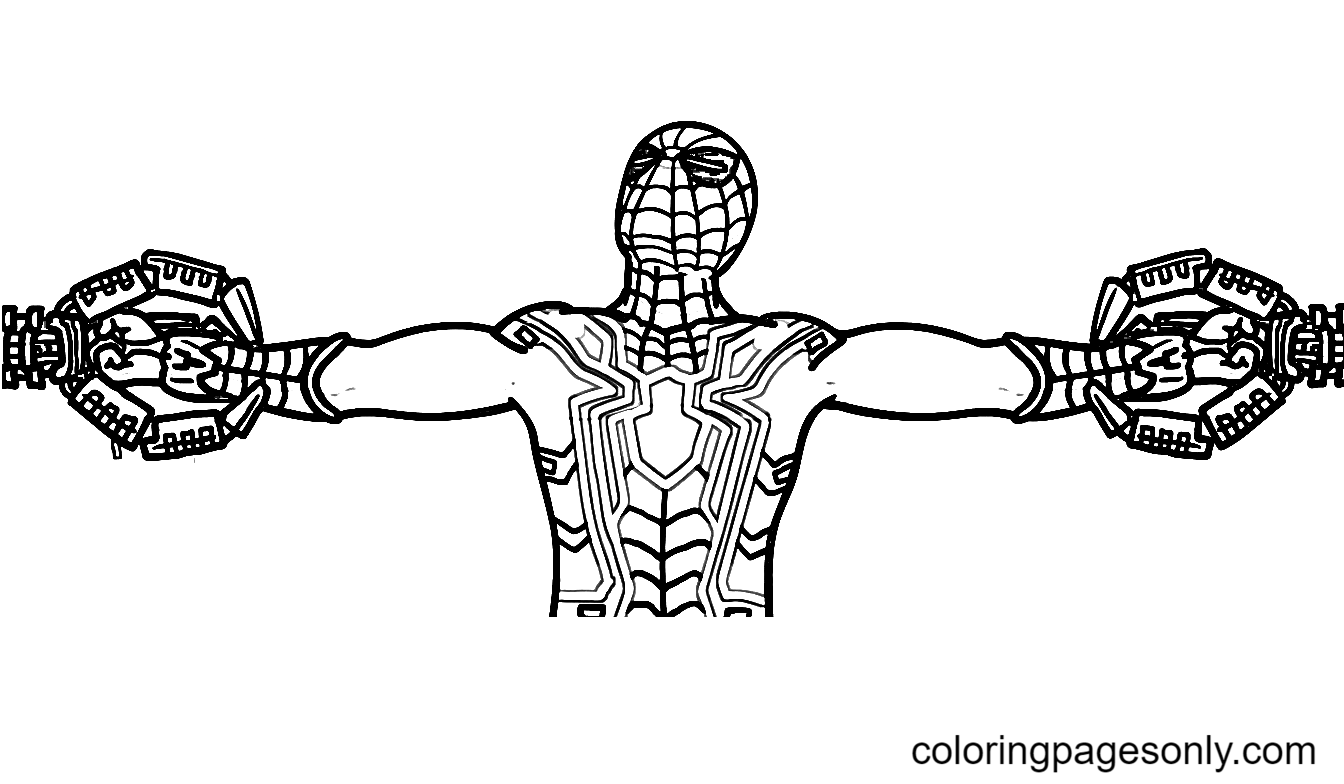 Spider
