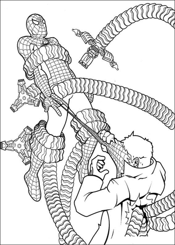 Spider