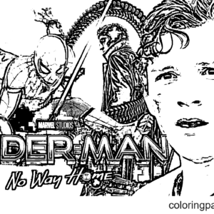 Spider