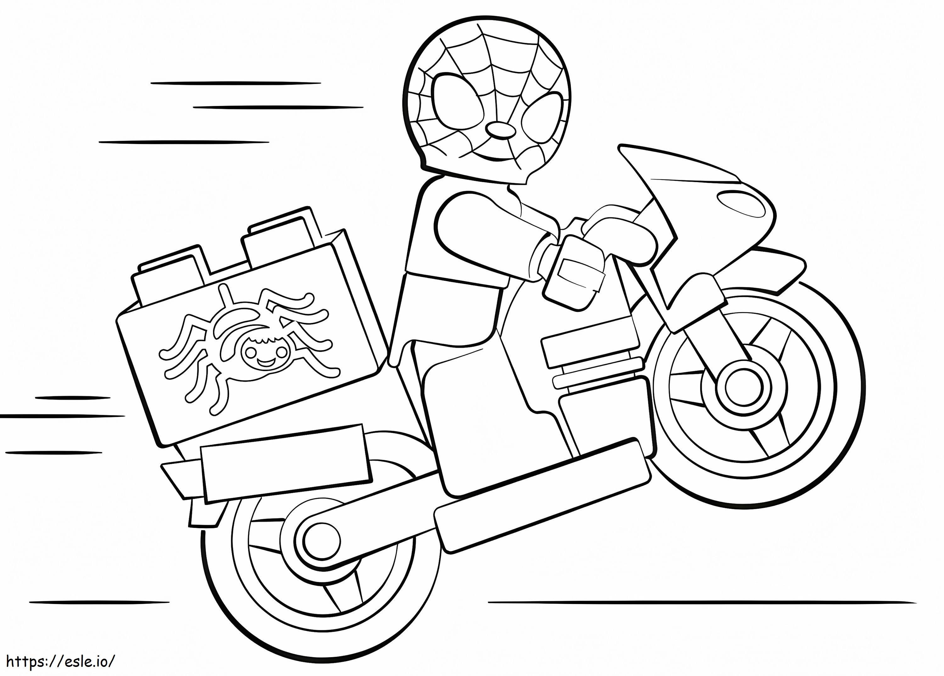 Spider