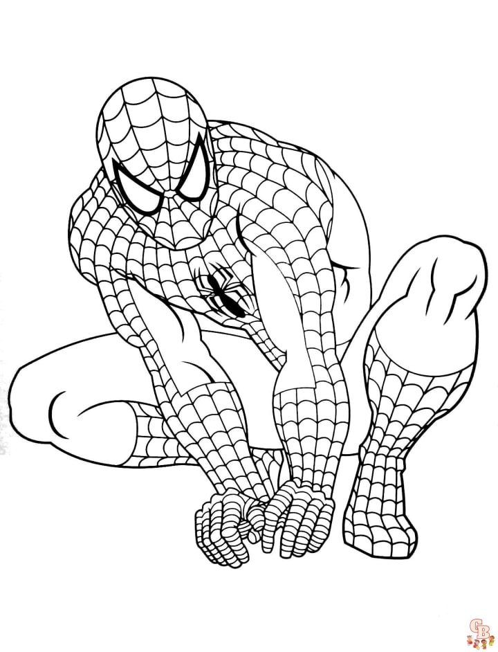 Spider