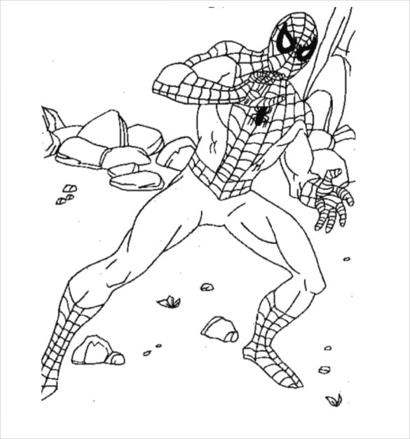 Spider
