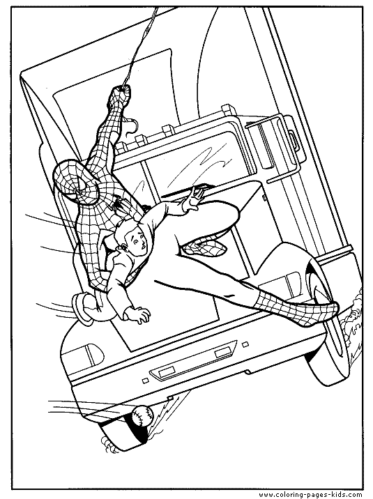 Spider