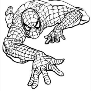 Spiderman coloring pages printable for free download