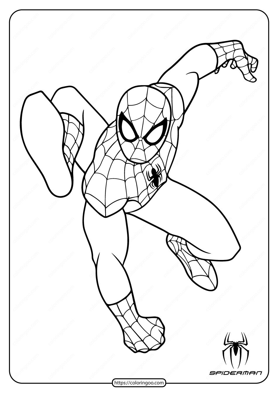 Spider