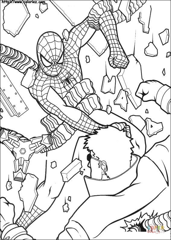 Spider