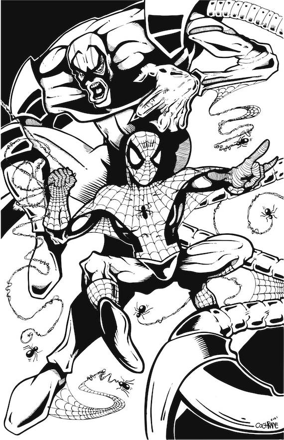 Spider