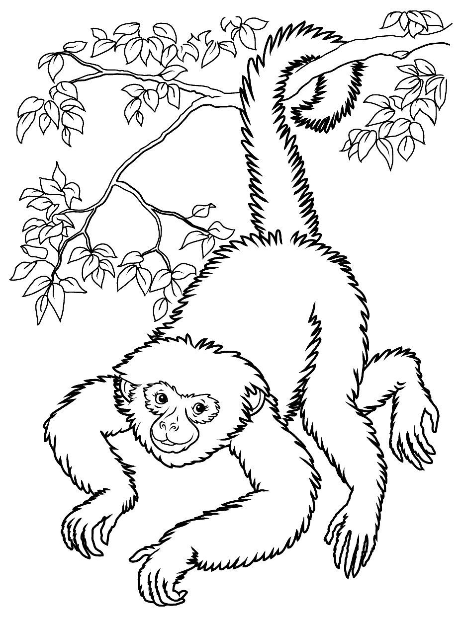 Animals for vbs editindd