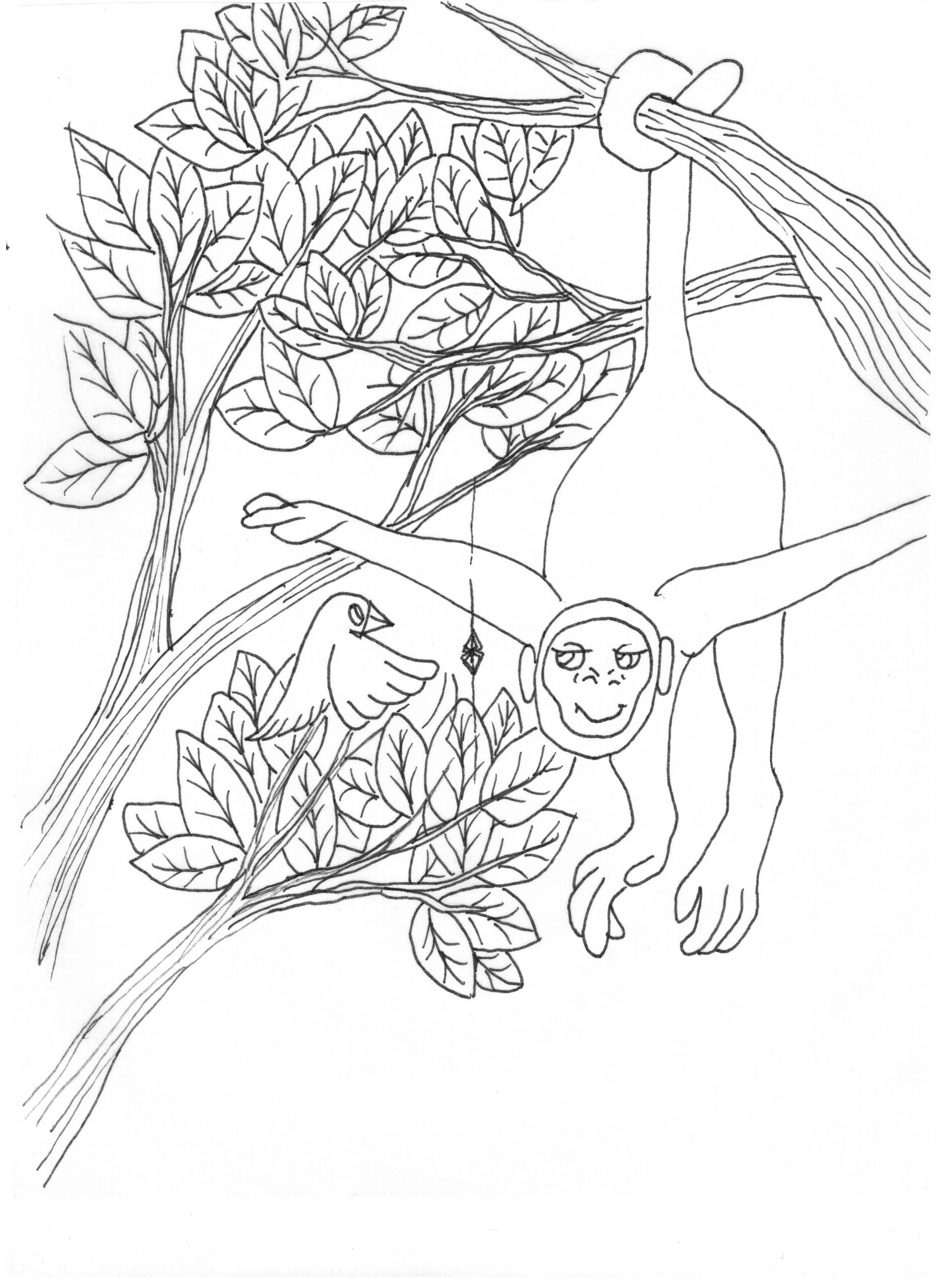 Spiders dance coloring book â anamcara press llc