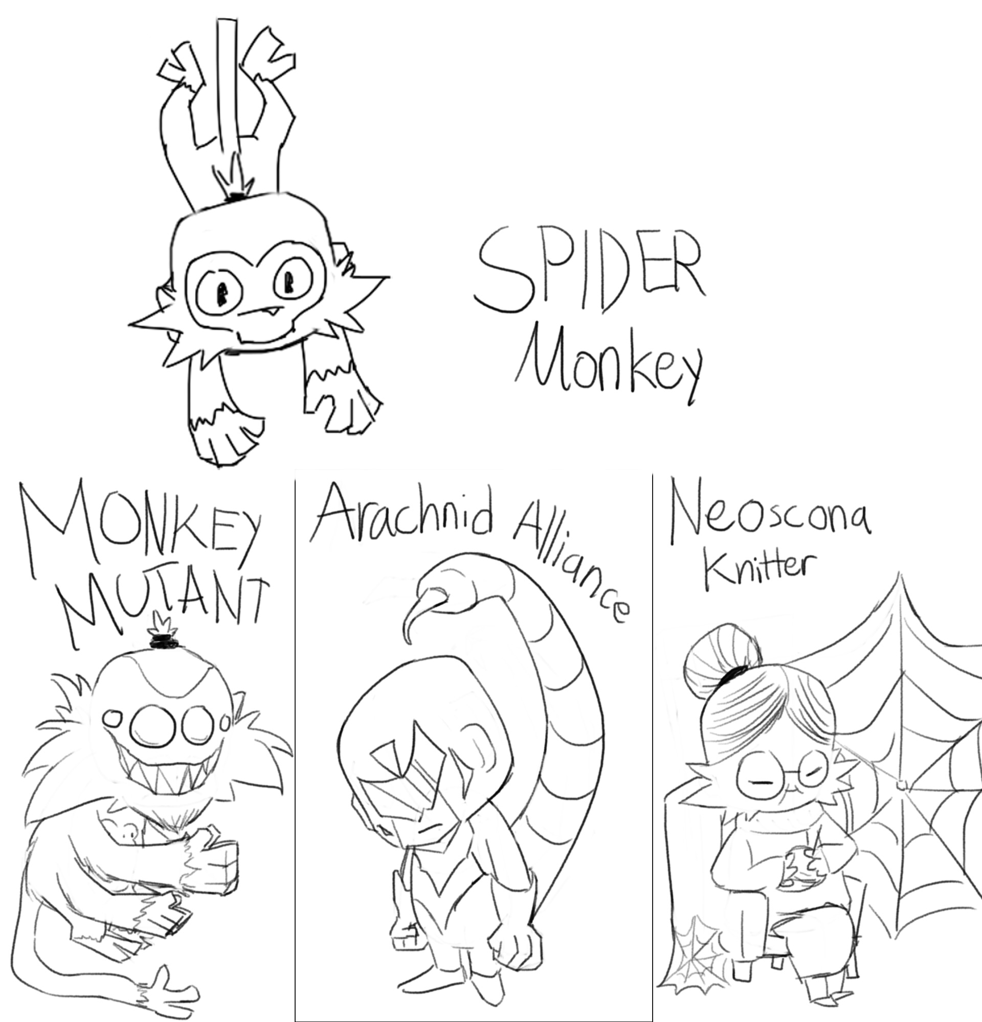 The spider monkey rbtd
