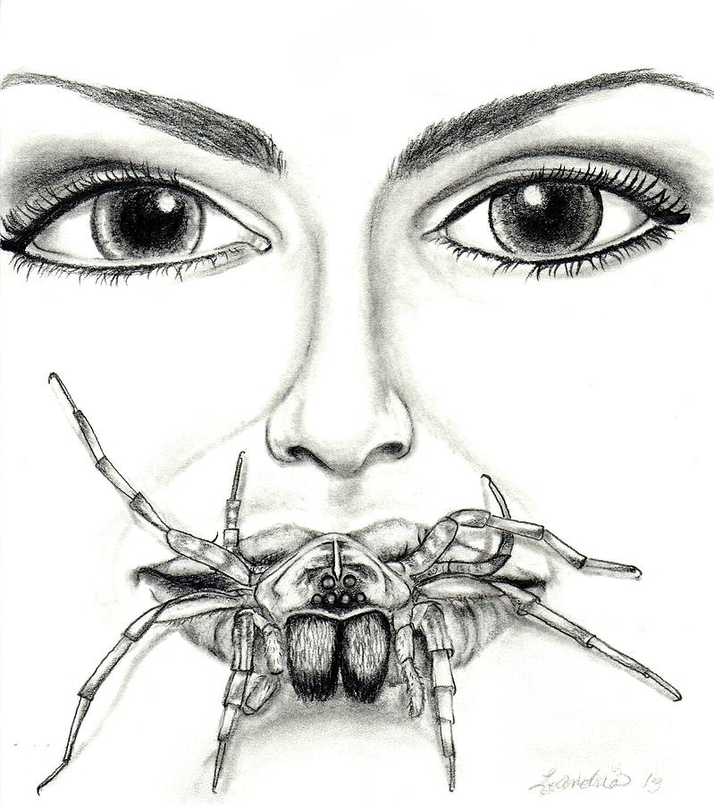 Wolf spider drawing drawing by leandria goodman