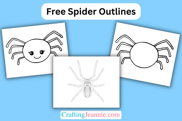 Free spider outline