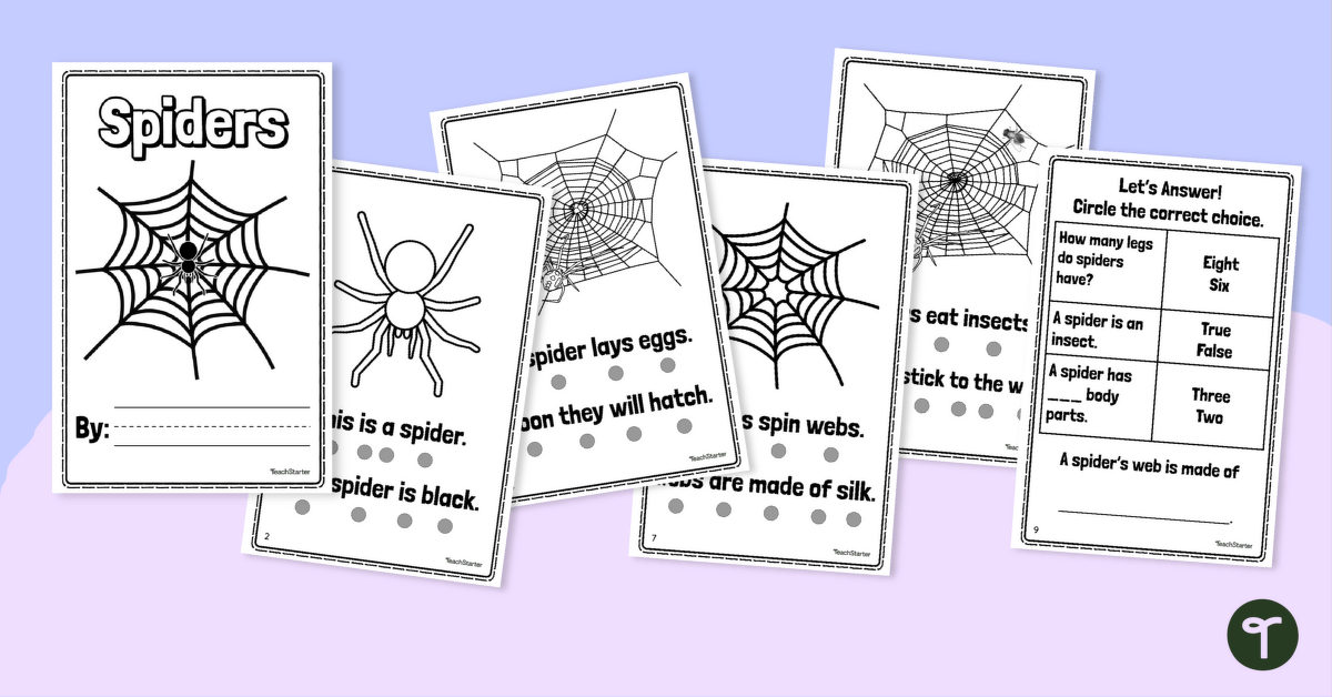 Printable spider book teach starter
