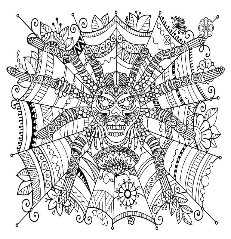 Spider printable coloring page