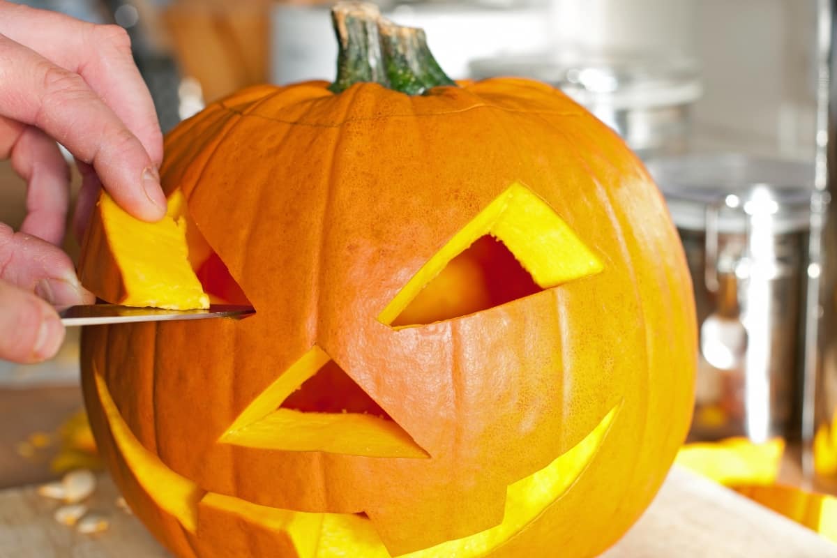 Free printable pumpkin carving stencils so easy anyone can do them