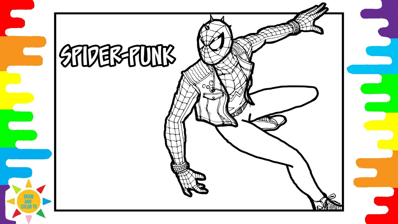 Spider