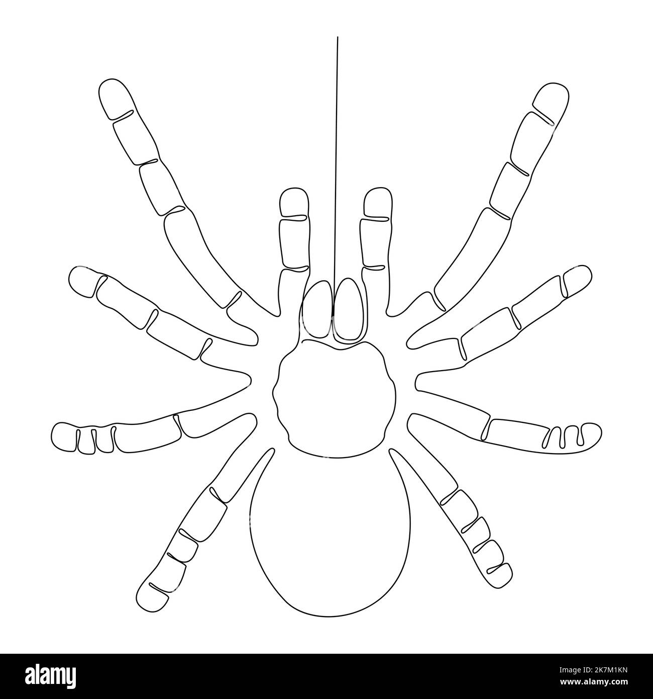 Spider drawing color cut out stock images pictures