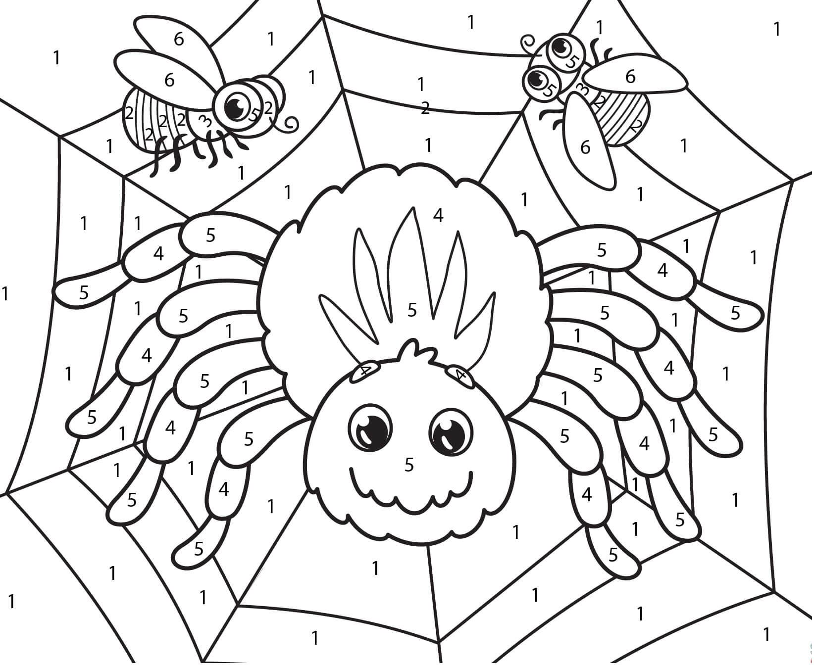 Spider color by number coloring pages