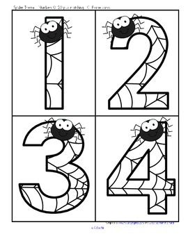 Spiders lge numbers