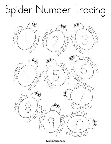 Spider number tracing coloring page
