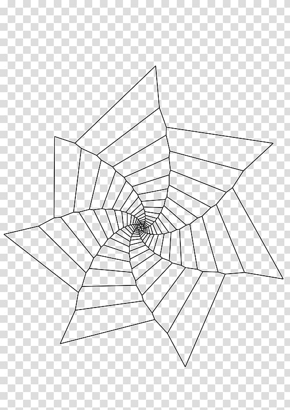Free spider web coloring book drawing spider transparent background png clipart