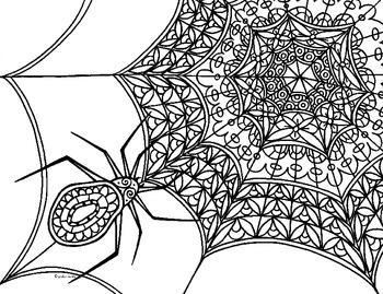 Spider web zentangle coloring page by pamela kennedy tpt