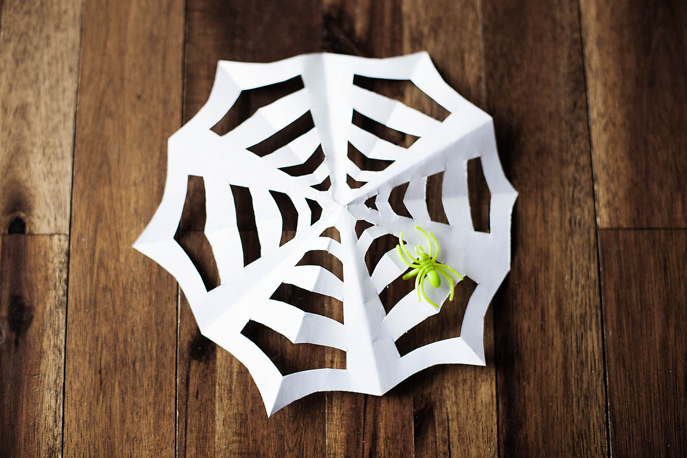 Paper spiderweb â all for the boys