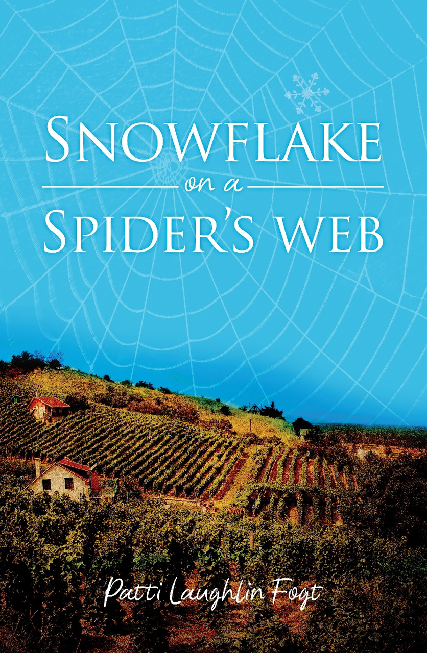 Snowflake on a spiders web